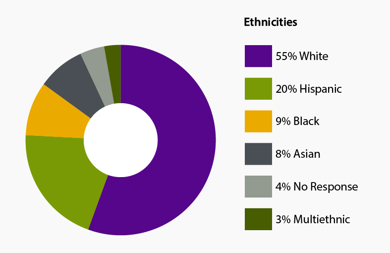 Circle graph of ethnicity percentages. White: 55%, Hispanic: 20%, Asian: 8%, Black: 9%, No response: 4%, Multiethnic: 3%